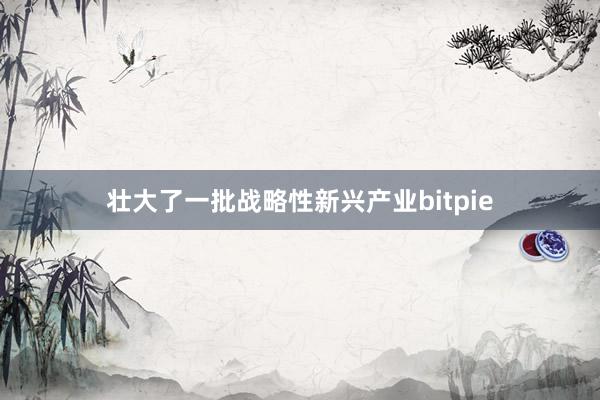 壮大了一批战略性新兴产业bitpie