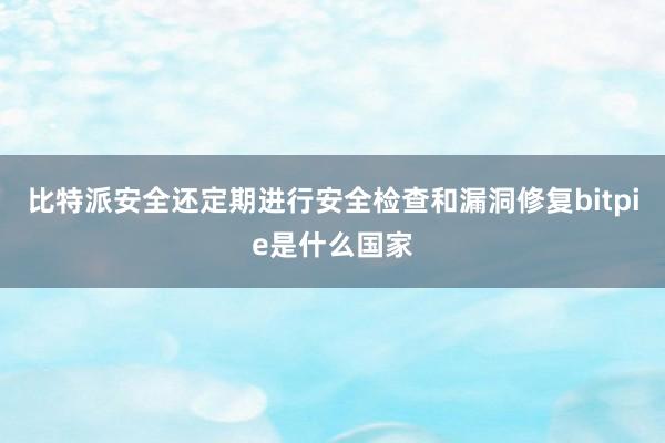 比特派安全还定期进行安全检查和漏洞修复bitpie是什么国家