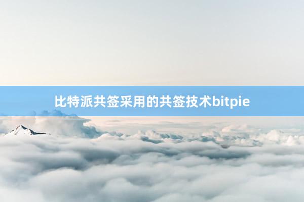 比特派共签采用的共签技术bitpie