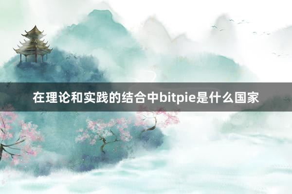 在理论和实践的结合中bitpie是什么国家