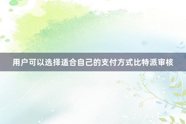 用户可以选择适合自己的支付方式比特派审核