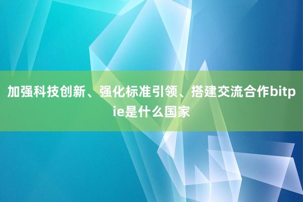 加强科技创新、强化标准引领、搭建交流合作bitpie是什么国家