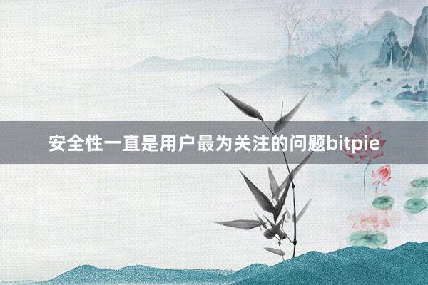 安全性一直是用户最为关注的问题bitpie