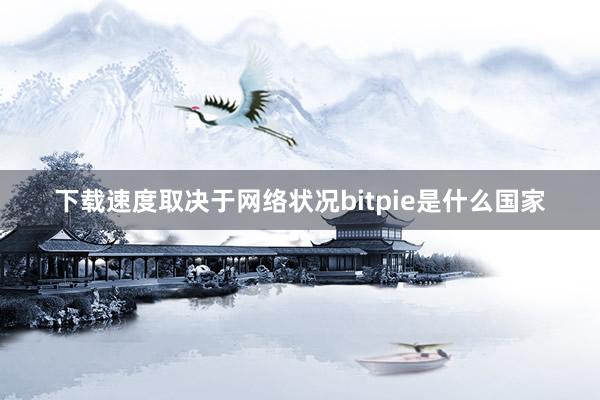 下载速度取决于网络状况bitpie是什么国家