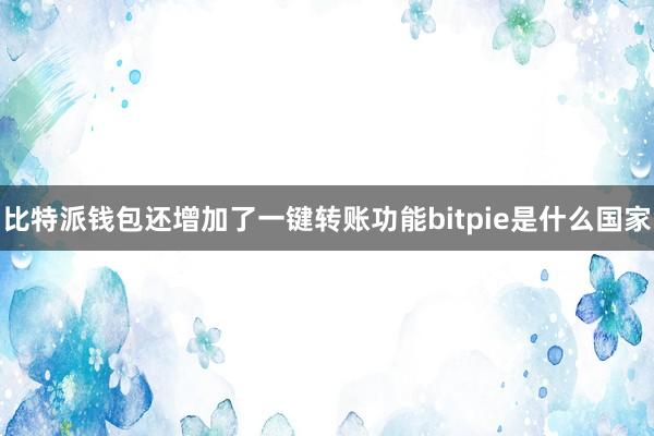 比特派钱包还增加了一键转账功能bitpie是什么国家