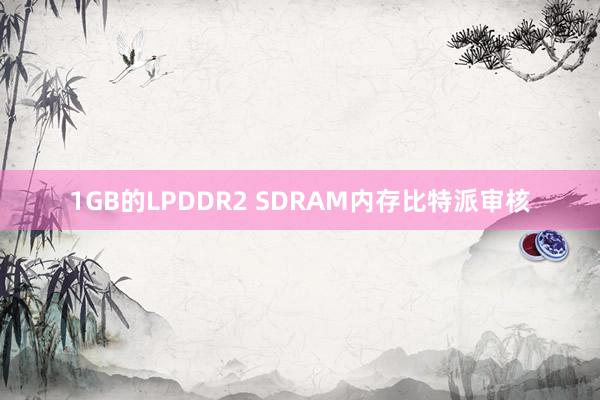 1GB的LPDDR2 SDRAM内存比特派审核