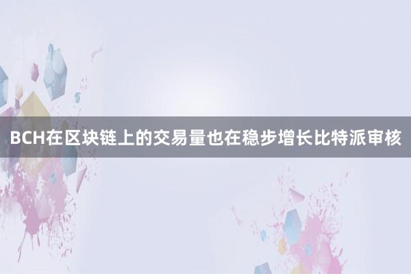 BCH在区块链上的交易量也在稳步增长比特派审核