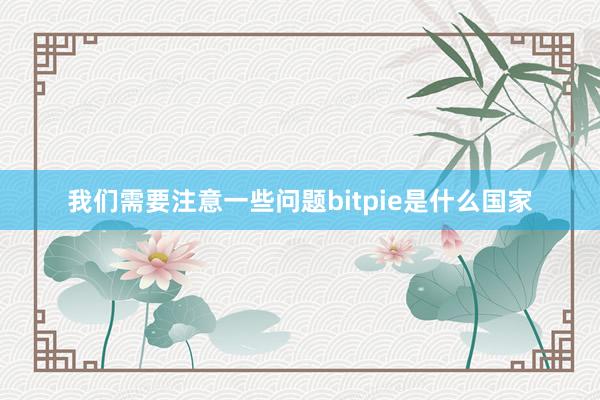 我们需要注意一些问题bitpie是什么国家