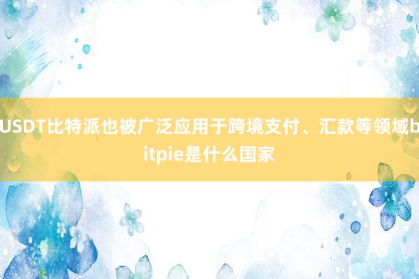 USDT比特派也被广泛应用于跨境支付、汇款等领域bitpie是什么国家