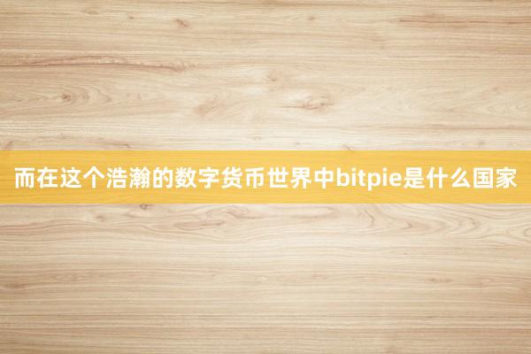 而在这个浩瀚的数字货币世界中bitpie是什么国家