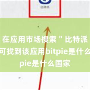 在应用市场搜索＂比特派＂即可找到该应用bitpie是什么国家