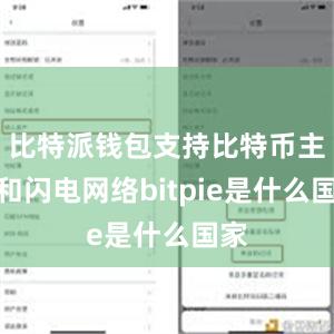 比特派钱包支持比特币主链和闪电网络bitpie是什么国家