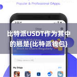 比特派USDT作为其中的翘楚{比特派钱包}