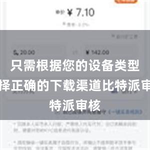 只需根据您的设备类型选择正确的下载渠道比特派审核