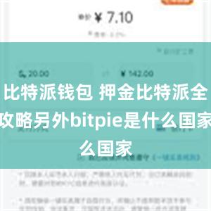 比特派钱包 押金比特派全攻略另外bitpie是什么国家